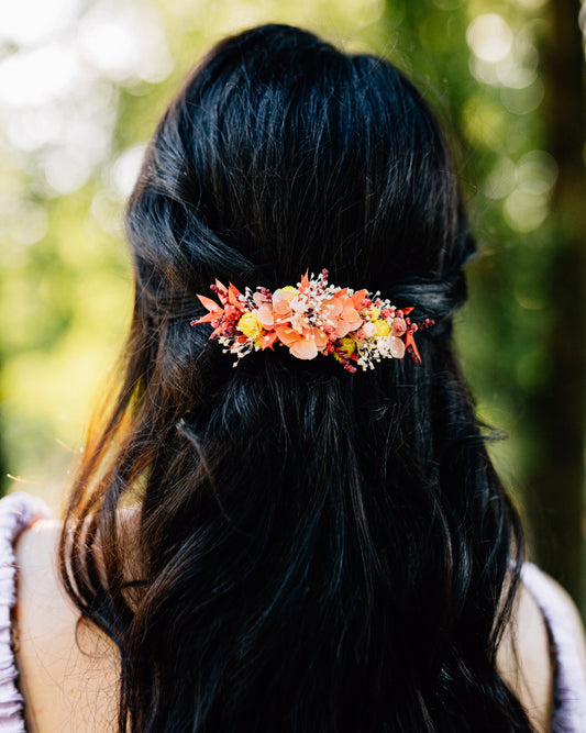 Barrette | Clip